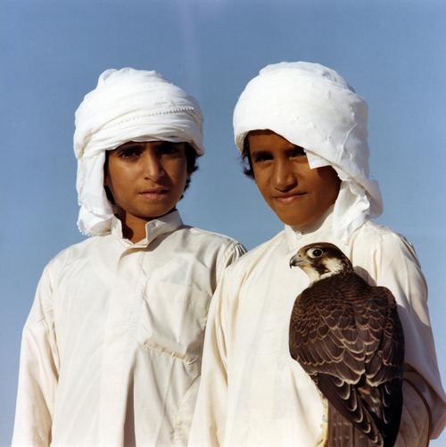 Valkerij Abu Dhabi Valkerij Abu Dhabi
