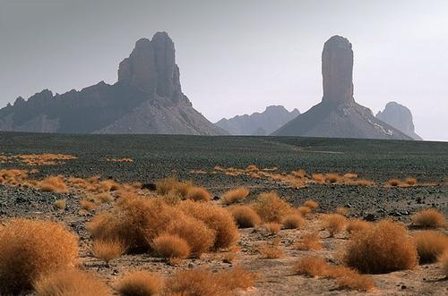 Algerije Droogte Foto:Arche Caracalla Algerije Droogte Foto:Arche Caracalla