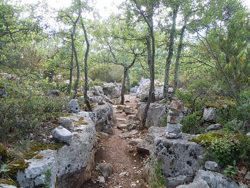 De Ardèche is nog altijd een van de bosrijkste gebieden van Frankrijk