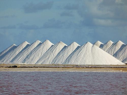 Bonaire Zoutpannen