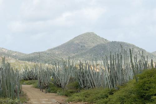 Washington Slagbaai Nationaal Park Bonaire