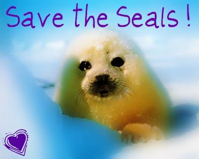 Protest tegen de zeehondenjacht in Canada afbeelding: Momo2354158 Protest tegen de zeehondenjacht in Canada afbeelding: Momo2354158
