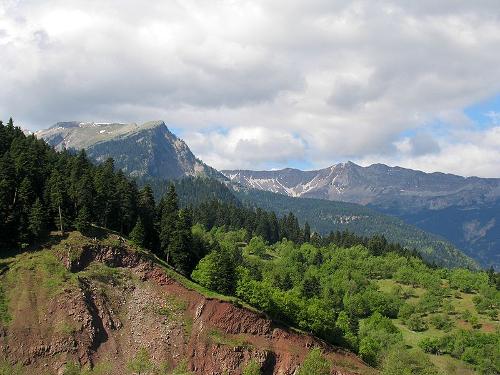 Bossen Pindosgebergte