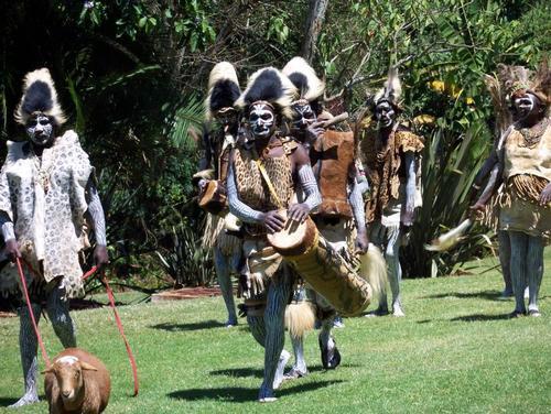 Kenya Kikuyu Stam Kenya Kikuyu Stam