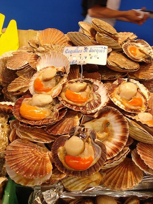 Coquille St-Jacques. Normandie