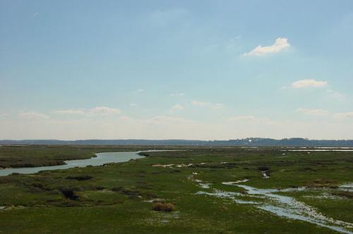 Baie de Somme Baie de Somme