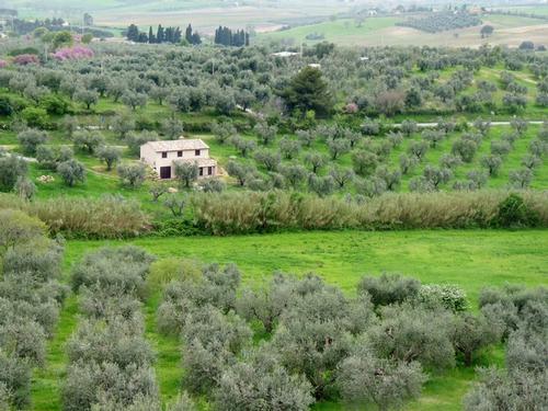 Typisch landschap Maremma