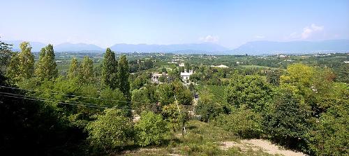 Vegetatie Veneto