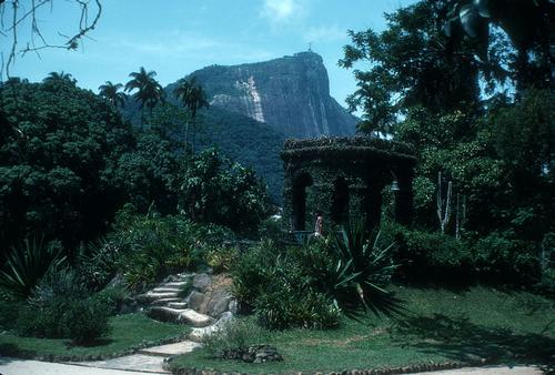 Botanische Tuine in Rio de Janeiro
