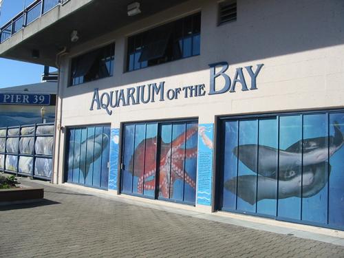Aquarrium van de Baai in San Francisco