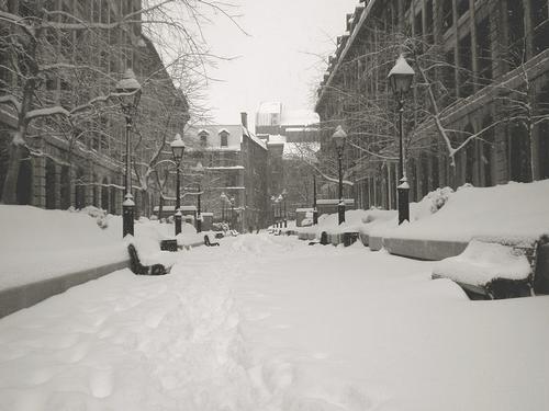 Sneeuw in Oud-Montreal
