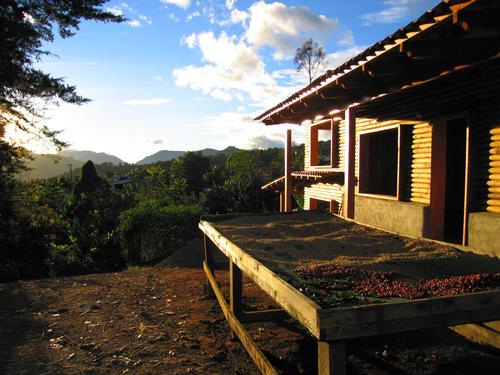 Koffie Boerderij San Jose Costa Rica