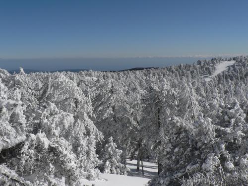 Troodos in de Winter