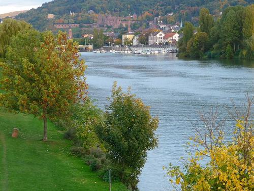 Neckar bij Heidelberg