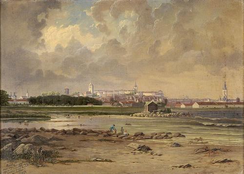 Gezicht op Tallinn 1894