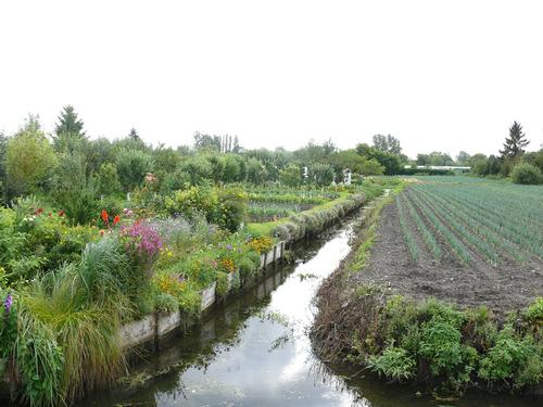 Amiens Hortillonnages