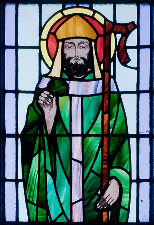 St Patrick met Shamrock