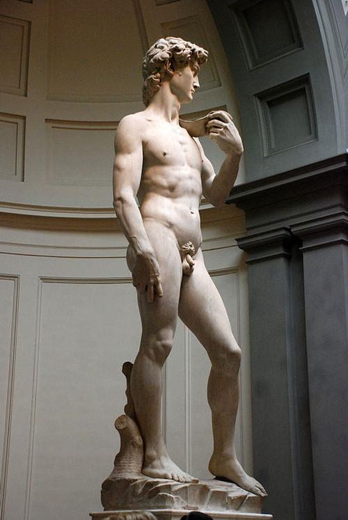 Davis van Michelangelo