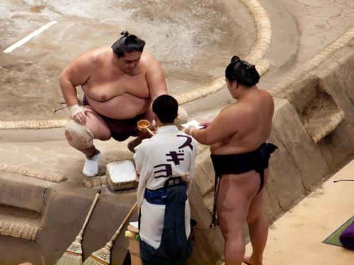 Tokio Sumo Wostelen