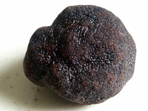 Zwarte Truffels een lekkernij in Pula