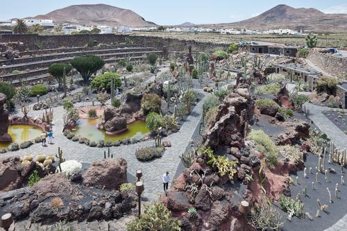 Jardin de Catus Lanzarote