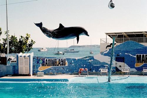 Marineland