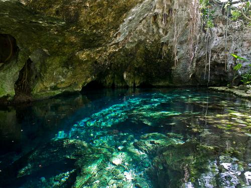 Riviera Maya Cenode