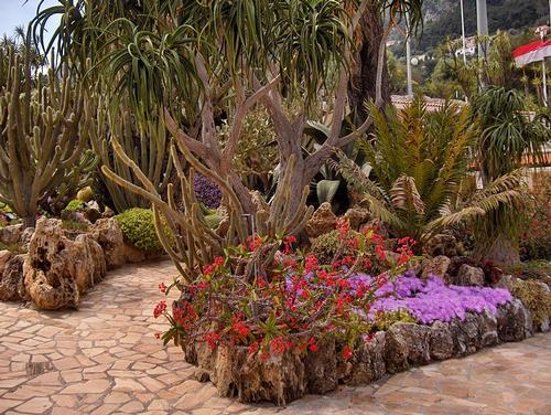 Jardin Exotique van Monaco