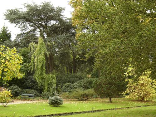 Rotterdam Arboretum Trompenburg