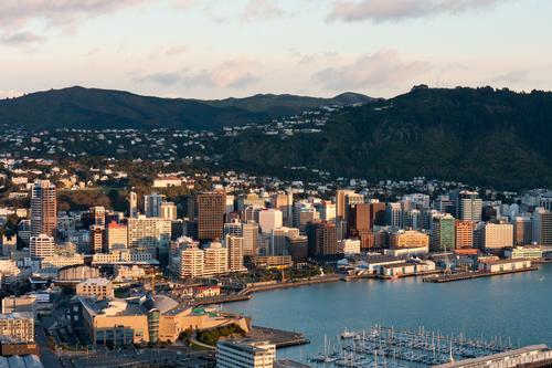 Wellington Panorama