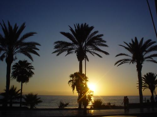 Playa de las Americas Boulevard bij Zonsondergang