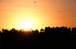 Zonsondergang in Jinja