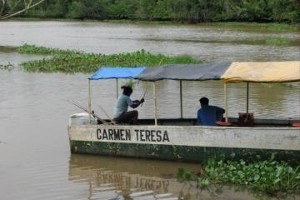 De Carmen Teresa