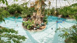 Subtropisch zwembad van Center Parcs de Vossemeren