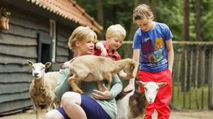 Parkvakanties: een feest voor kinderen