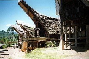 Tonkonanhuizen in Tana Toraja
