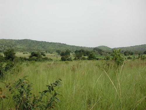 Burkina Faso Landschap
