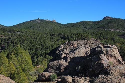 Pozo de las nievas Gran Canaria