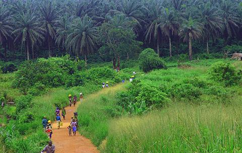 Landschap in het zuidoosten van Sierra Leone