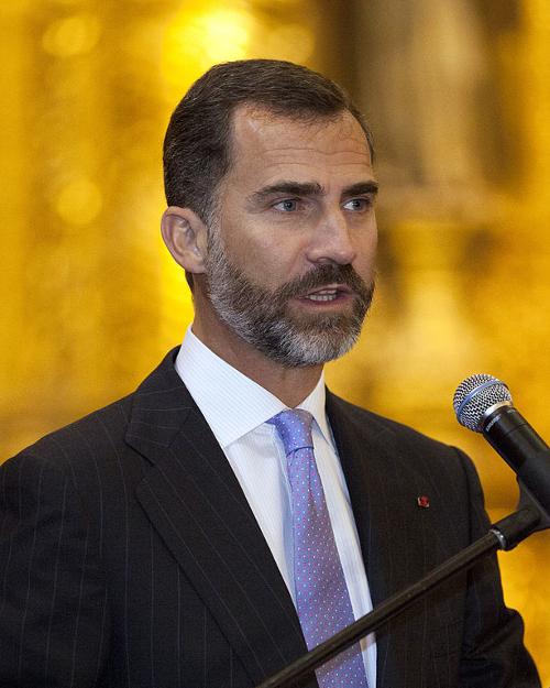 Koning Felipe VI van Spanje